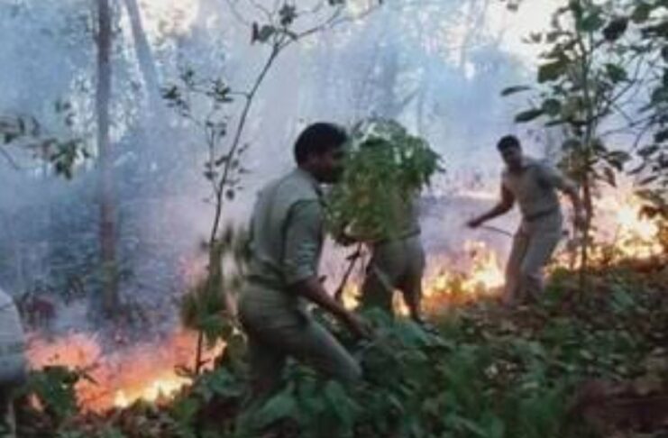 കമ്പമലയുടെ ഒരു ഭാഗം കത്തിയമർന്നു