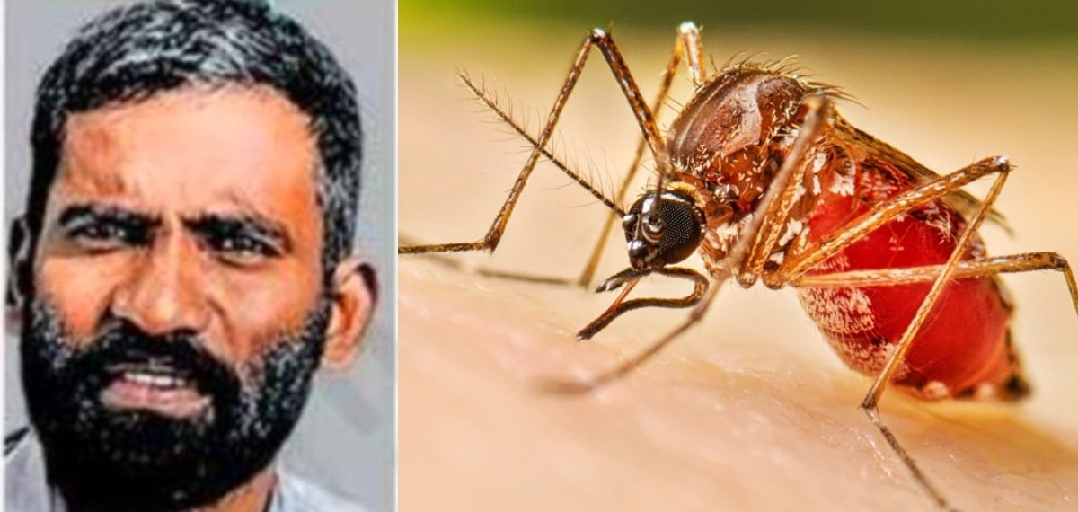 സംസ്ഥാനത്ത് ഡെങ്കിപ്പനി ബാധിച്ച് ഒരാള് കൂടി മരിച്ചു; ഒരാഴ്ചയ്ക്കിടെ മൂന്നാമത്തെ മരണം
